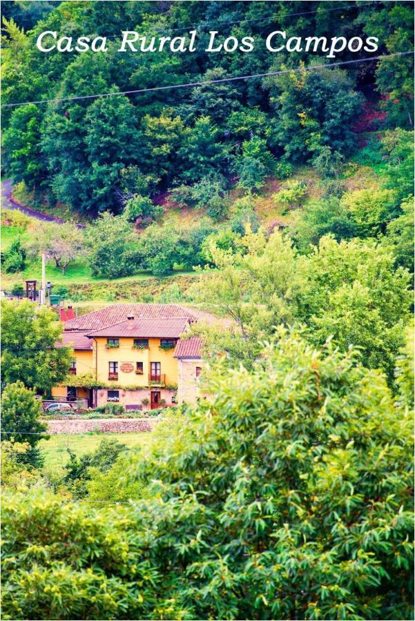 Casa Rural Los Campos Corao Buitenkant foto