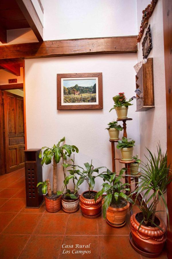 Casa Rural Los Campos Corao Buitenkant foto