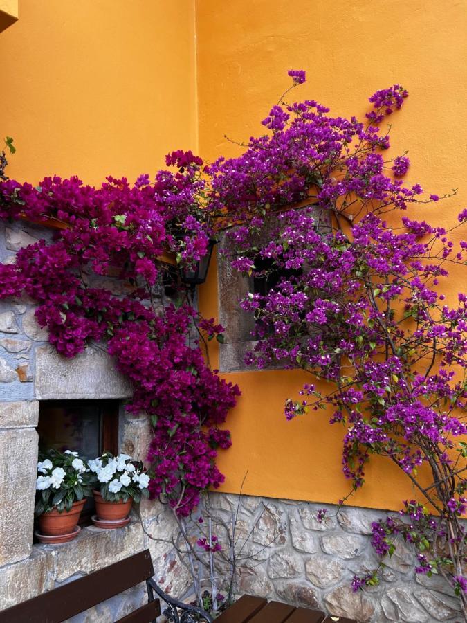Casa Rural Los Campos Corao Buitenkant foto